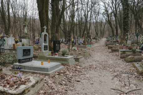 Знесінський цвинтар при вулиці Заклинських. Центральна алея