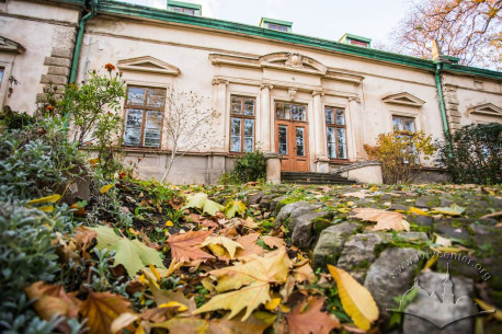 Вул. Кобилянської, 1. Фрагмент головного фасаду