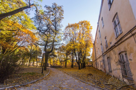 Вул. Лисенка, 12. Вигляд вздовж східного фасаду будинку у напрямку вул. Просвіти. Зліва, у центрі скверу, розміщений пам'ятник 125-ти річчю Товариства "Просвіта"