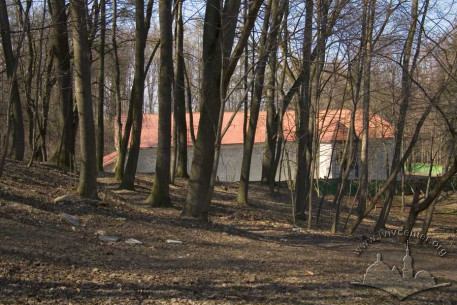 Вул. Вітовського, 43а. Вид на південно-східний фасад будинку