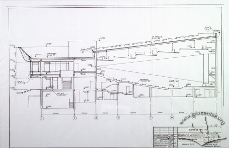 Longitudinal section
