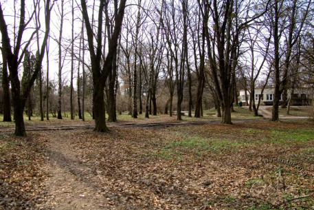 Vul. Stryiska. Southern part of the Stryiskyi park. Formerly the ukrainian sport association "Sokil-Father" had its stadium situated around here.