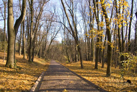 Stryiskyi Park. Lane near the northwest park boundary
