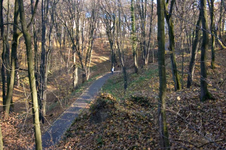 Stryiskyi Park, rise on the upper terrace.  Eastern slope of the ravine cut by Soroka Creek.