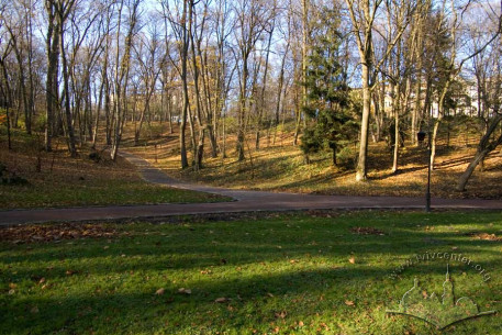 Stryiskyi Park:  central lane, lower terrace.  Informal path scheme reflects park architect Arnold Röhring’s landscape park design.