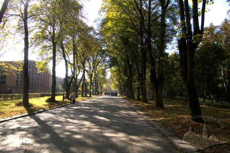Stryiskyi Park, site of the 1894 regional exhibition and eastern auction grounds. Central lane, upper terrace.