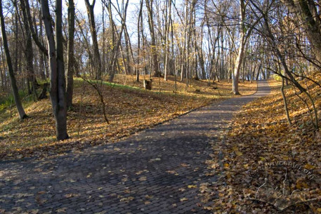 Lane on Stryiskyi Park’s northwest perimeter