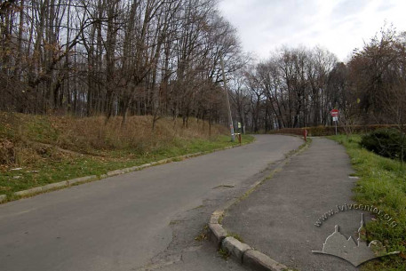 Znesinnia Park and its central lane
