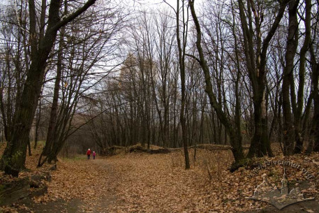 Znesinnia Park, descent from the northern ridge