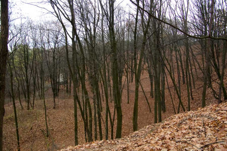 Znesinnia Park, hills of the historic “Kaiserwald”