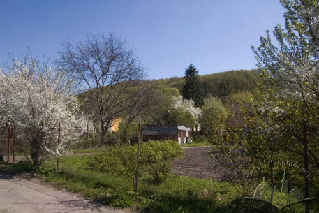 Kortumova Hora Park, northern slope of the hill from Vynnytsya Street.  Spring.
