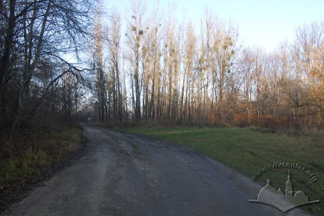 Kortumova Hora Park.  The Yeroshenko Street “alley” and paths off it into the parklands.