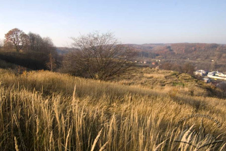View to the north from Kortumova Hora of Bryukhovytskyi Forest and Holosko.