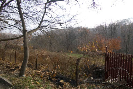 Zalizna Voda Park, view from Dibrovna Street.