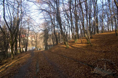 Zalizna Voda Park, descent from the side of the former Kaminskyi Pond