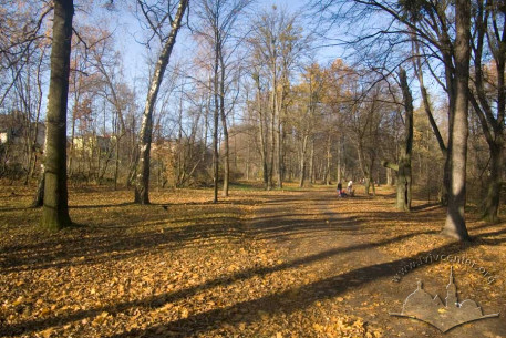 Zalizna Voda Park, main path