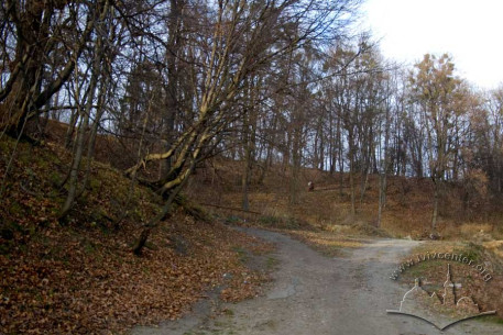 Stara Strilnytsia Park, view from the south.  Slopes of Stephan Hill.