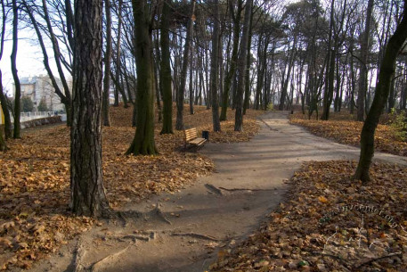 Lychakivskyi Park, northeast quadrant of the park