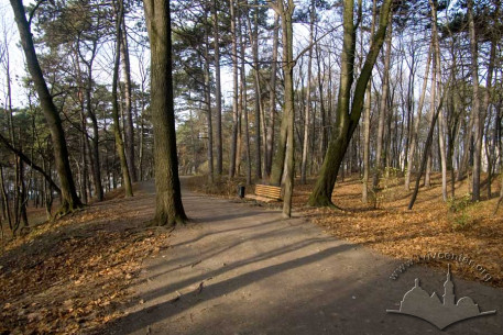 Lychakivskyi Park, path through the park
