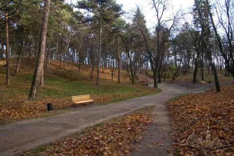Southern edge of Lychakivskyi Park