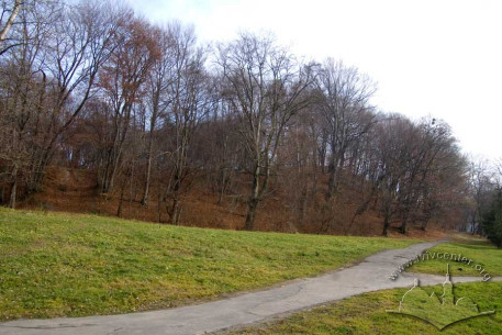 Pohulianka Park:  park path with the Lviv Heights in the distance