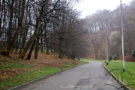 Pohulianka Park:  lane near park center