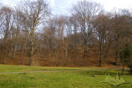 Pohulianka Park’s eastern edge in autumn