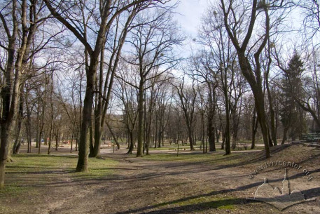 Northwest sector of Ivan Franko Park, a section of the lower terrace.