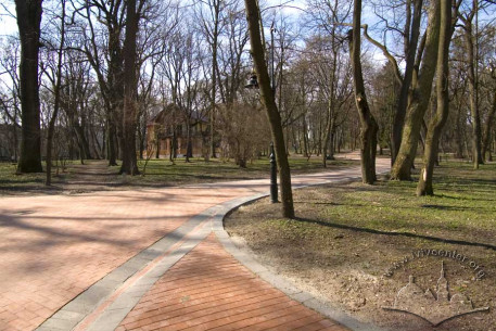 Winding lane in the central section of the park.