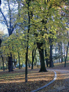 Assymetrical lane sketches of the upper park.