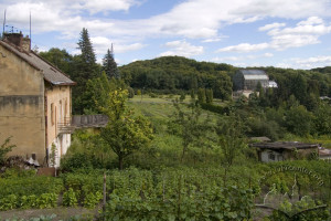 Vul. Cheremshyny, 44 – botanical garden (former Tsetnerivka park)