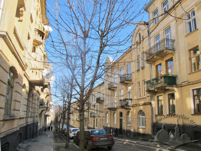 Vul. Tarnavskoho, looking north