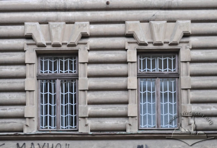 Vul. Sichovykh Striltsiv, 16. Ground floor windows