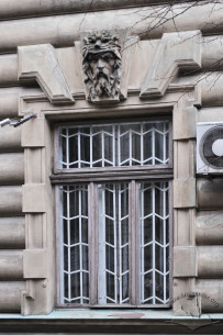 Vul. Sichovykh Striltsiv, 16. A ground floor window