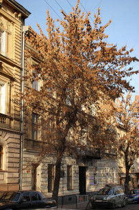 Vul. Doroshenka, 50. The building's principal facade