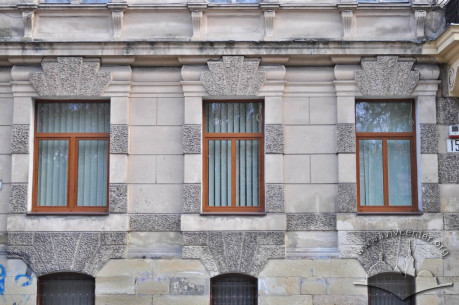 Vul. Krushelnytskoi, 15. Ground floor windows