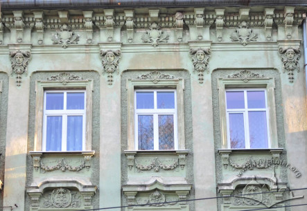 Vul. Krushelnytskoi, 19a. 3rd floor windows