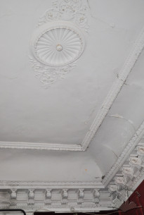 Vul. Krushelnytskoi, 11. Ceiling of the stairwell