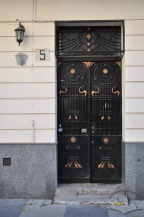 Vul. Kurbasa, 5. The main entrance