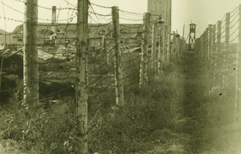 Barbed wire fences surrounding former Janowska Camp