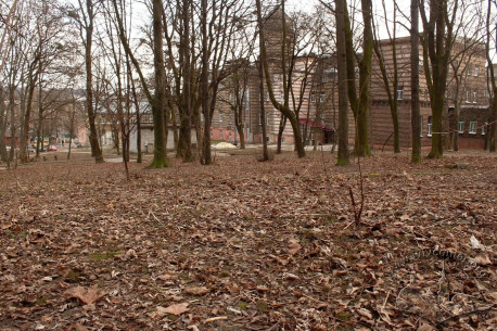 The hospital as seen from the courtyard
