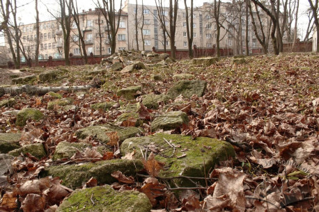 Remains of the matzevah (tombstones)