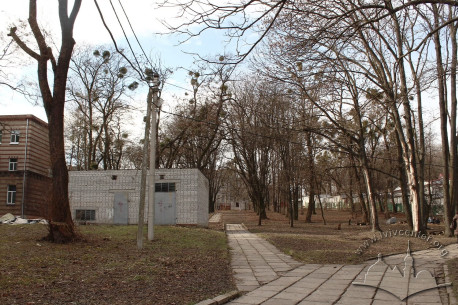 The hospital's courtyard, the location of the cemetery. A view towards vul. Kleparivska (to the west)