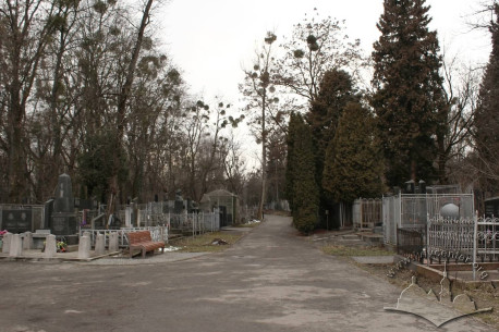 The new Jewish cemetery. The central alley