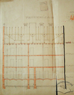 Longitudinal section