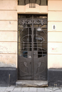 Vul. Bohomoltsia, 8. The main entrance