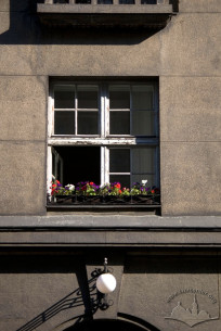 Вул. Коперника, 4. Одне з вікон 2-го поверху
