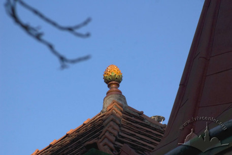 Vul. Kotliarevskoho, 29. A roof detail