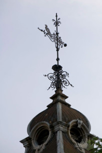 Vul. Kotliarevskoho, 22. The weathercock with a peahan