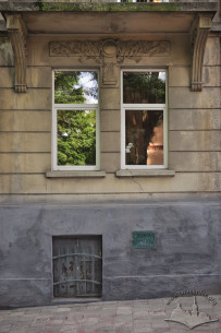 Вул. Нечуя-Левицького, 19. Вікна цокольного і 1-го поверхів